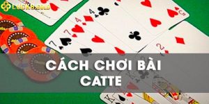 Bài Catte Luck8 - Những Thông Tin Cần Biết Khi Chơi